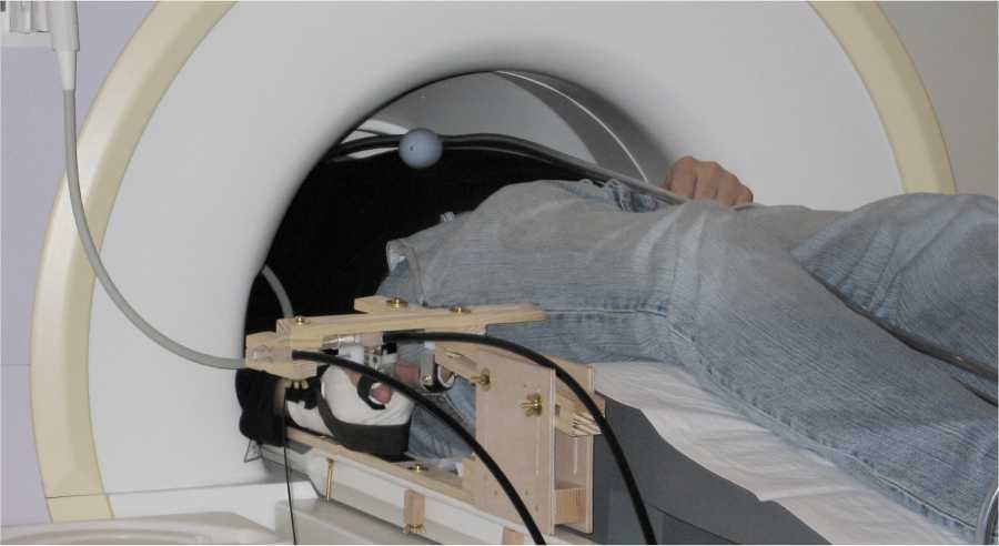 picture of fMRI-compatible hydrostatic finger interface