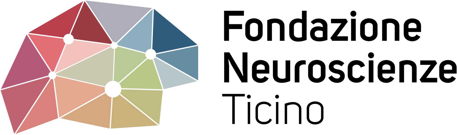 Fondazione Neuroscience Ticino Logo